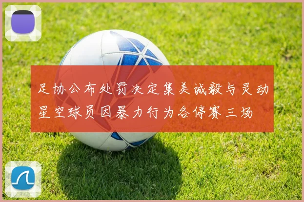 足协公布处罚决定集美诚毅与灵动星空球员因暴力行为各停赛三场